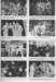 page31_small.jpg