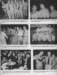 page32_small.jpg