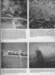 page35_small.jpg