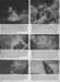 page36_small.jpg