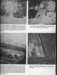 page43_small.jpg