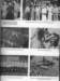 page53_small.jpg